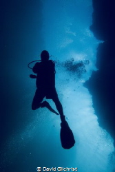 Diver swims through passage at Spooky Channel dive site i... by David Gilchrist 